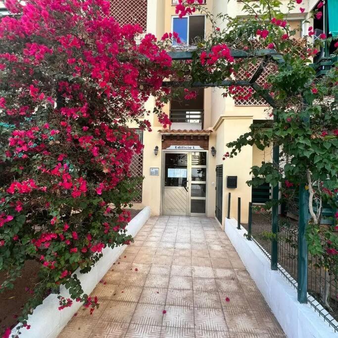 Apartman Los Cristianos-Cristimar Лос-Крістіанос Екстер'єр фото